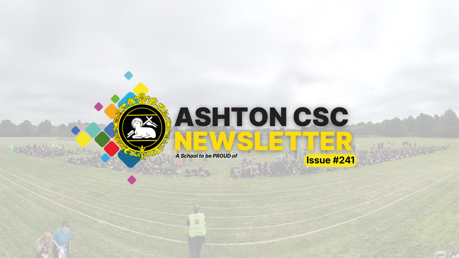 Image of Newsletter Issue #241