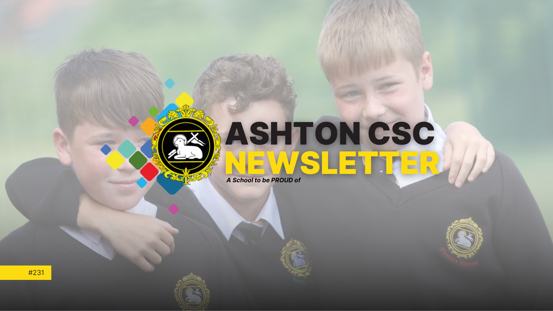 Image of Newsletter Issue #231
