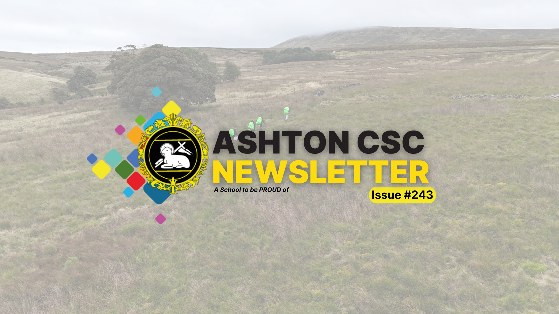 Image of Newsletter Issue #243