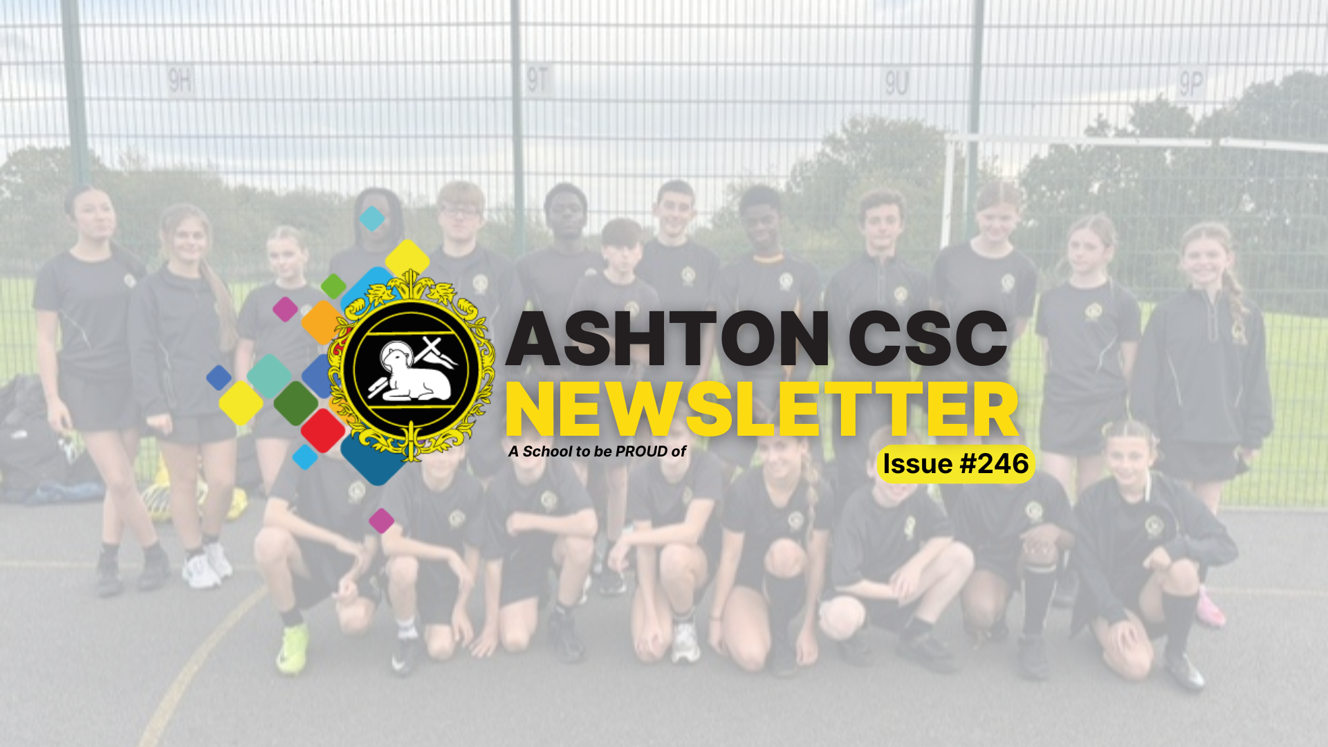 Image of Newsletter Issue #246