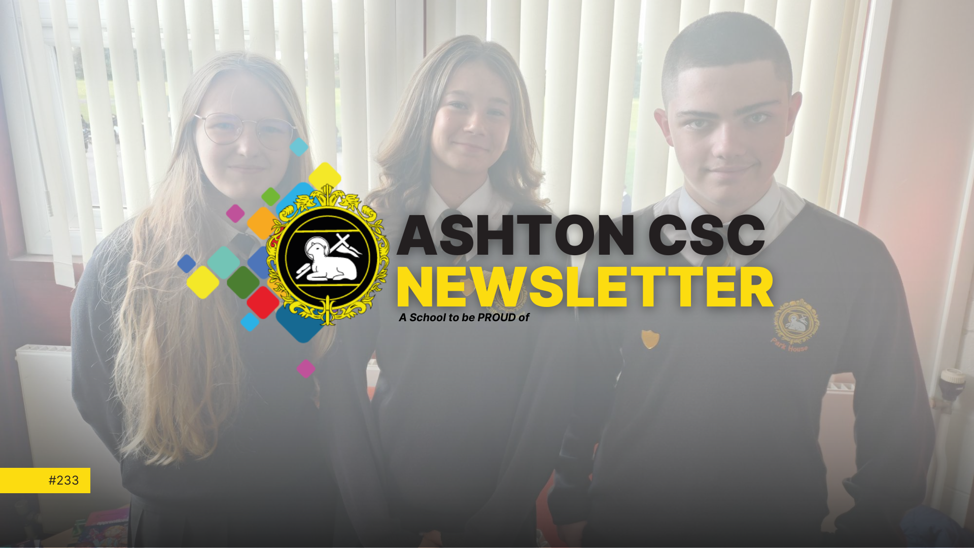 Image of Newsletter Issue #233