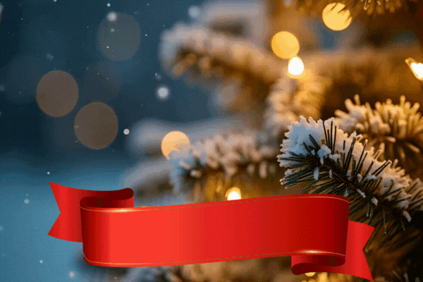 Image of Newsletter Issue #218