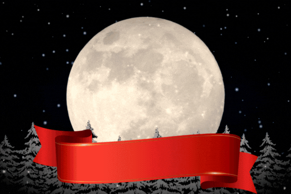 Image of Newsletter Issue #219