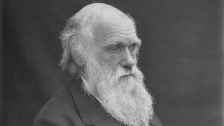 Image of STEM - Charles Darwin Quiz