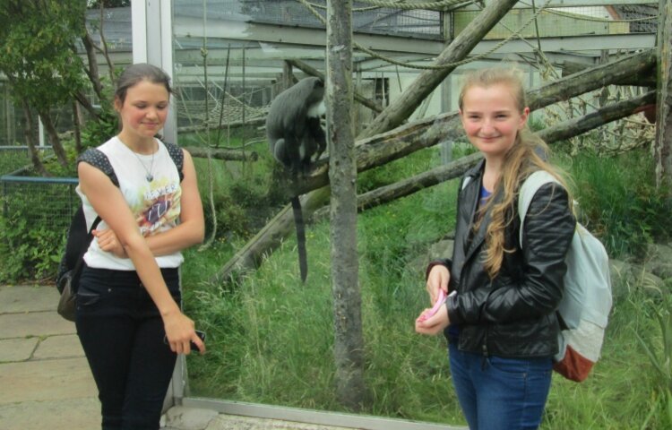 Image of Blackpool Zoo Trip