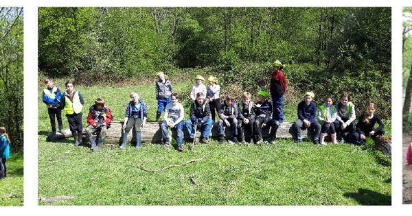 Forest School 19th and 20th May | Ashurst Wood Primary School