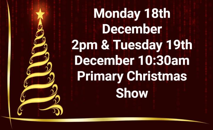 Image of Primary Christmas Shows 