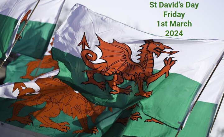 Image of St David's Day 