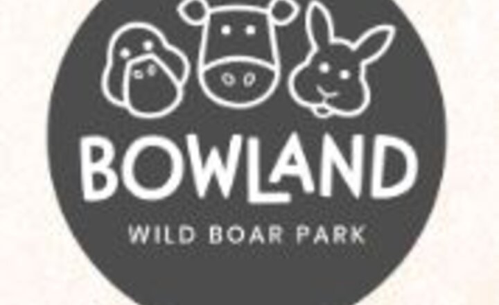 Image of Bowland Wild Boar Park- SEN Sunday 