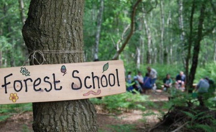 Image of We Need Your Help- Forest School 