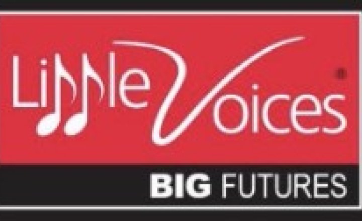 Image of Little Voices- Big Futures 