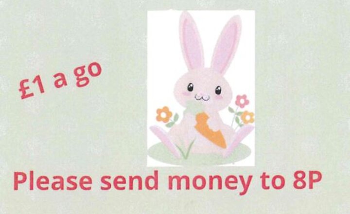 Image of Name The Bunny 