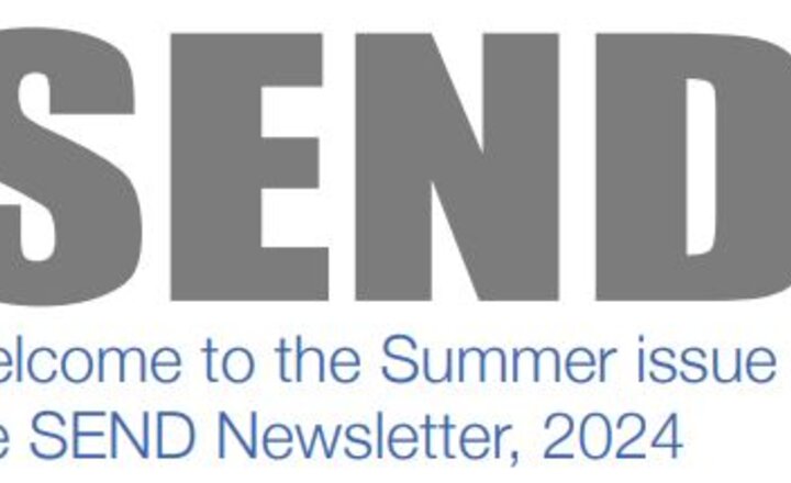 Image of SEND Summer Newsletter 