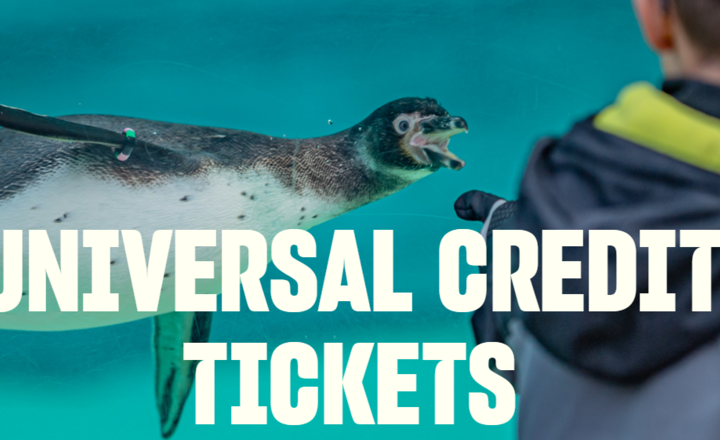 Image of Chester Zoo- Universal Credit Tickets 
