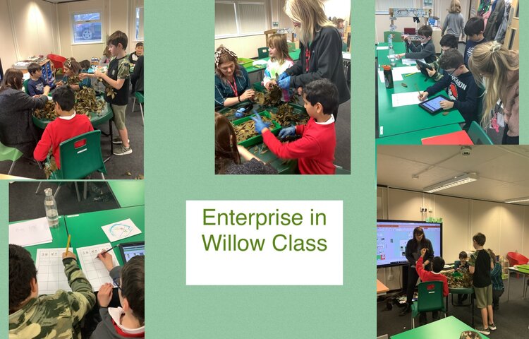 Image of Willow class start enterprising!