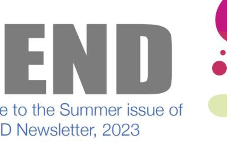 Image of SEND Summer Newsletter 2023