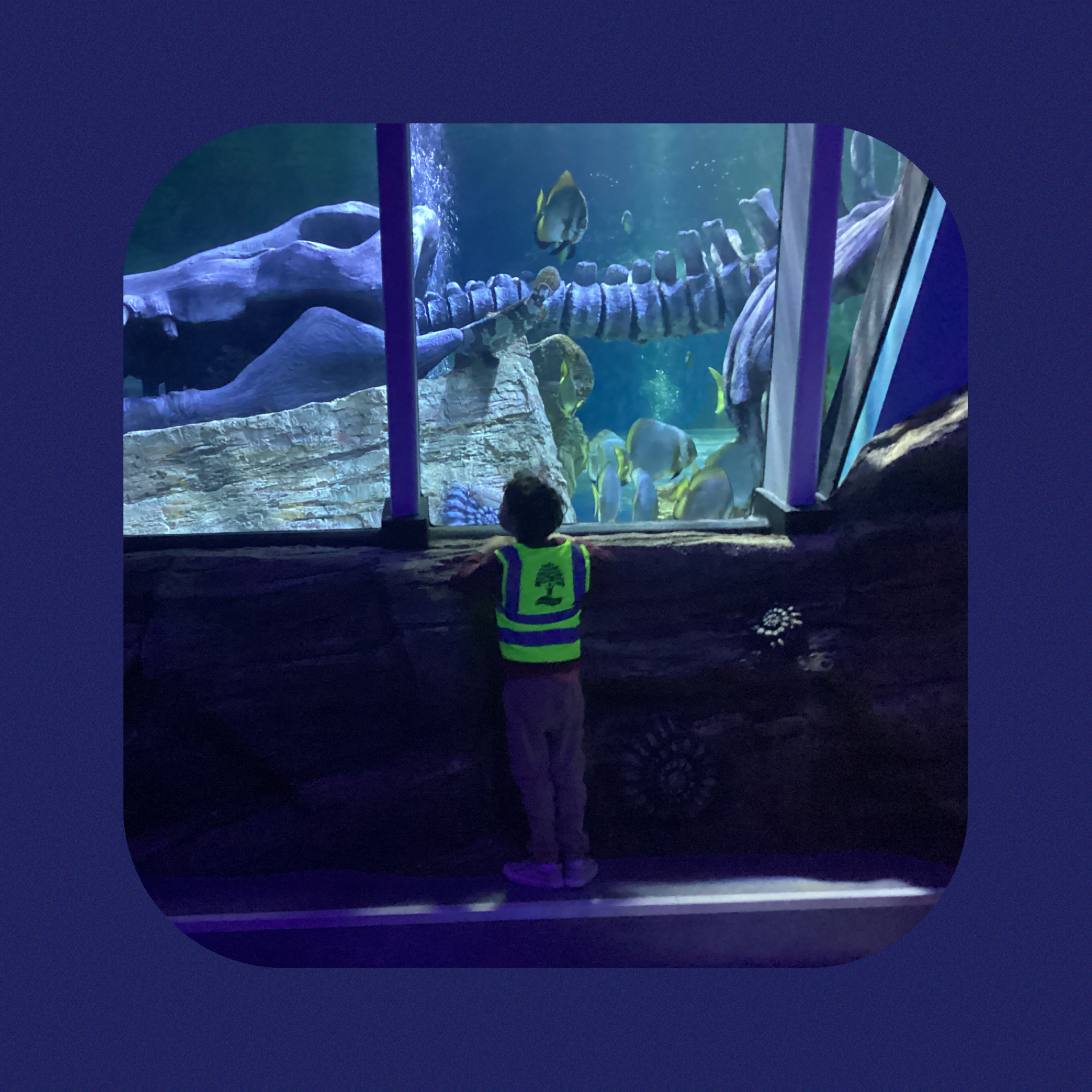 Image of Sycamore Class enjoying Sea-life fun!