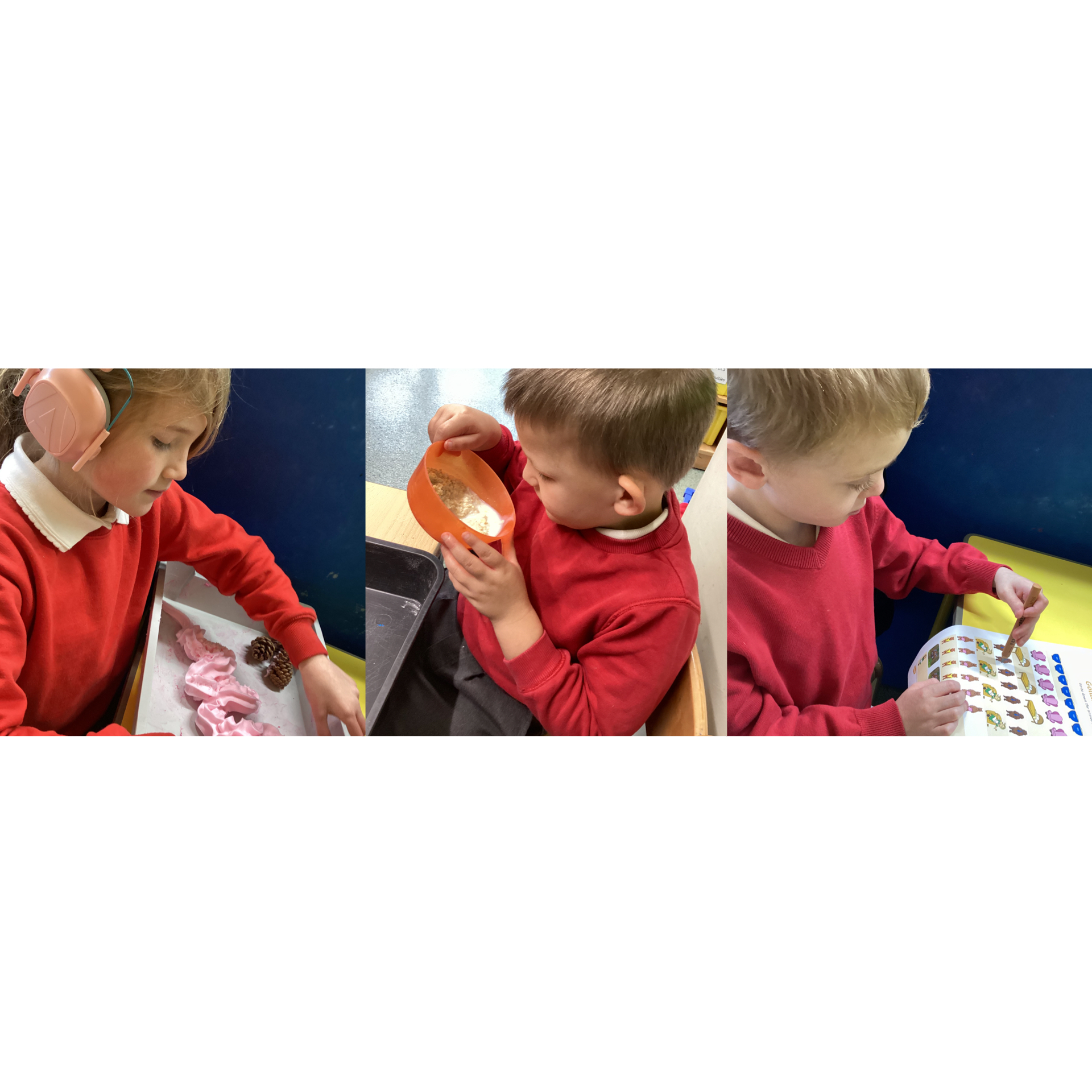 Image of 3 bears in Beech 