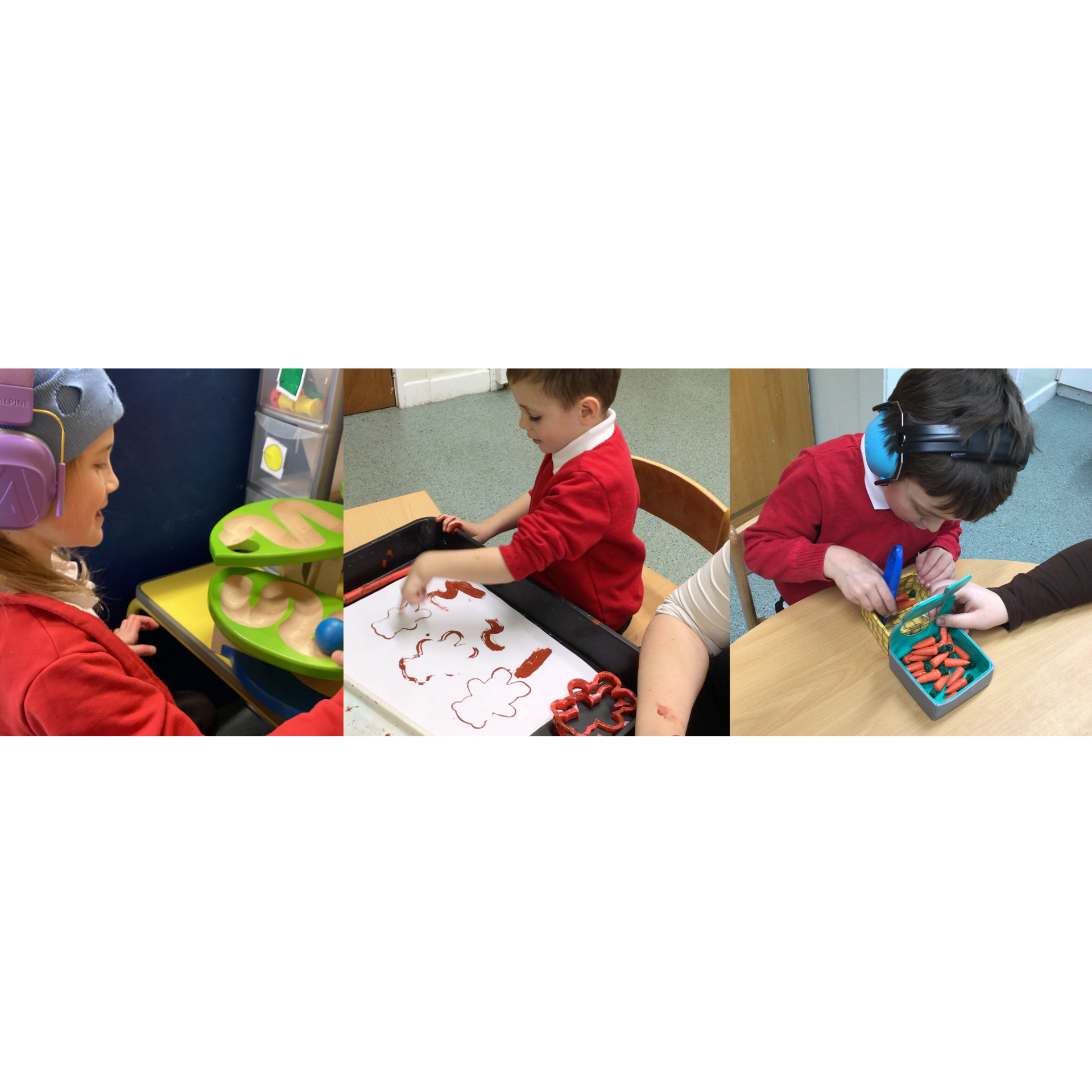 Image of Beech explore bears 