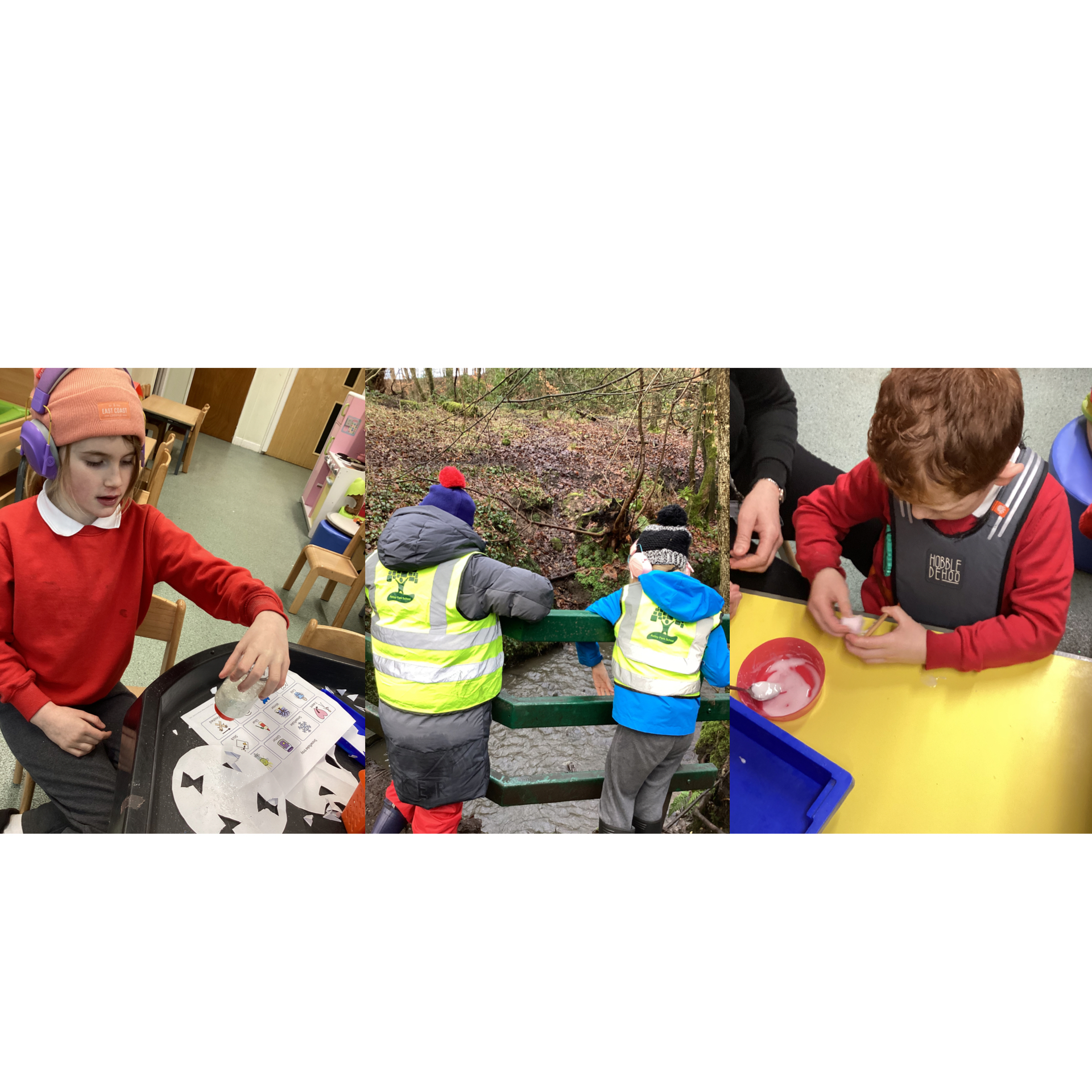 Image of Winter wonderland in Beech