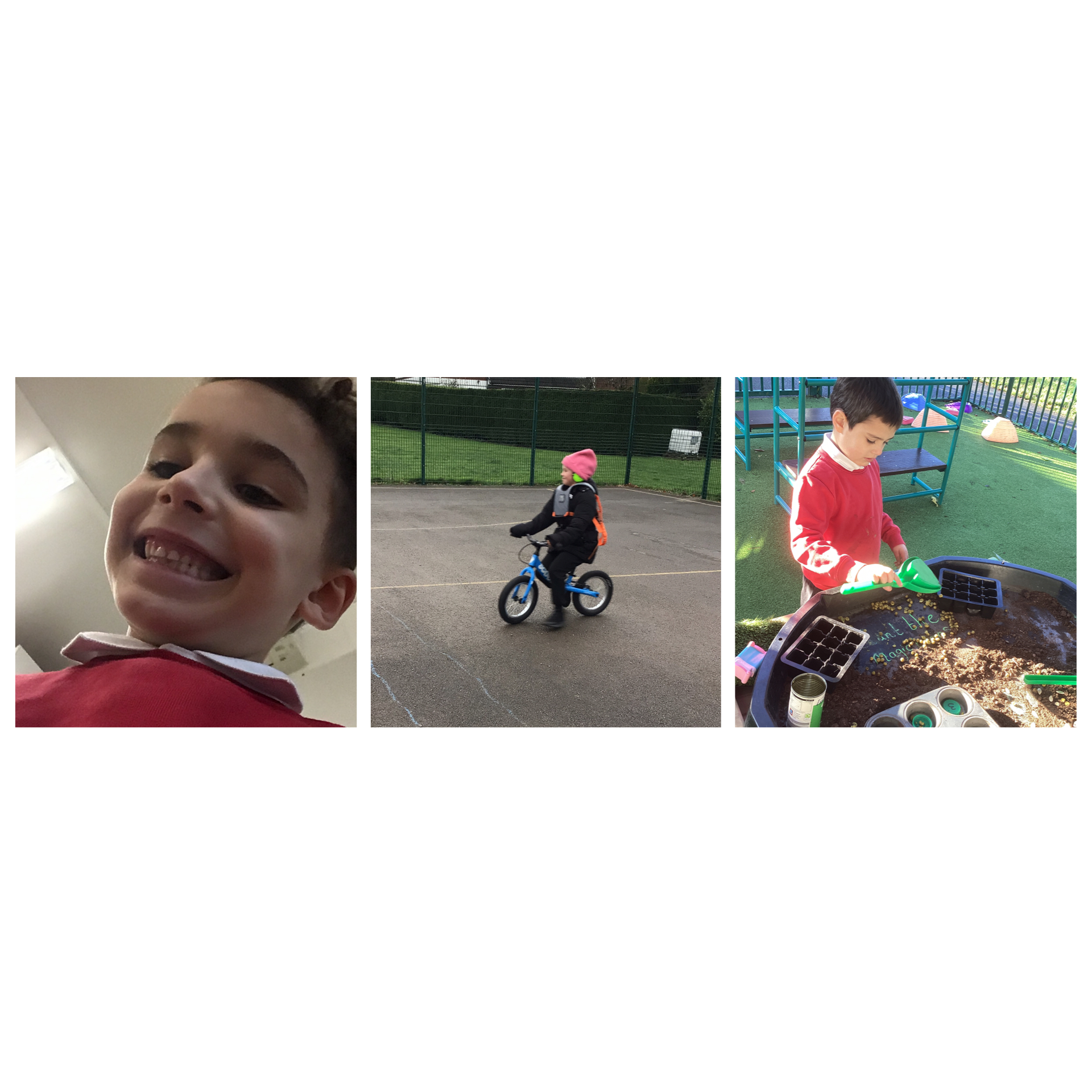 Image of Fairytale sounds and bikes in Chestnut 2025-26