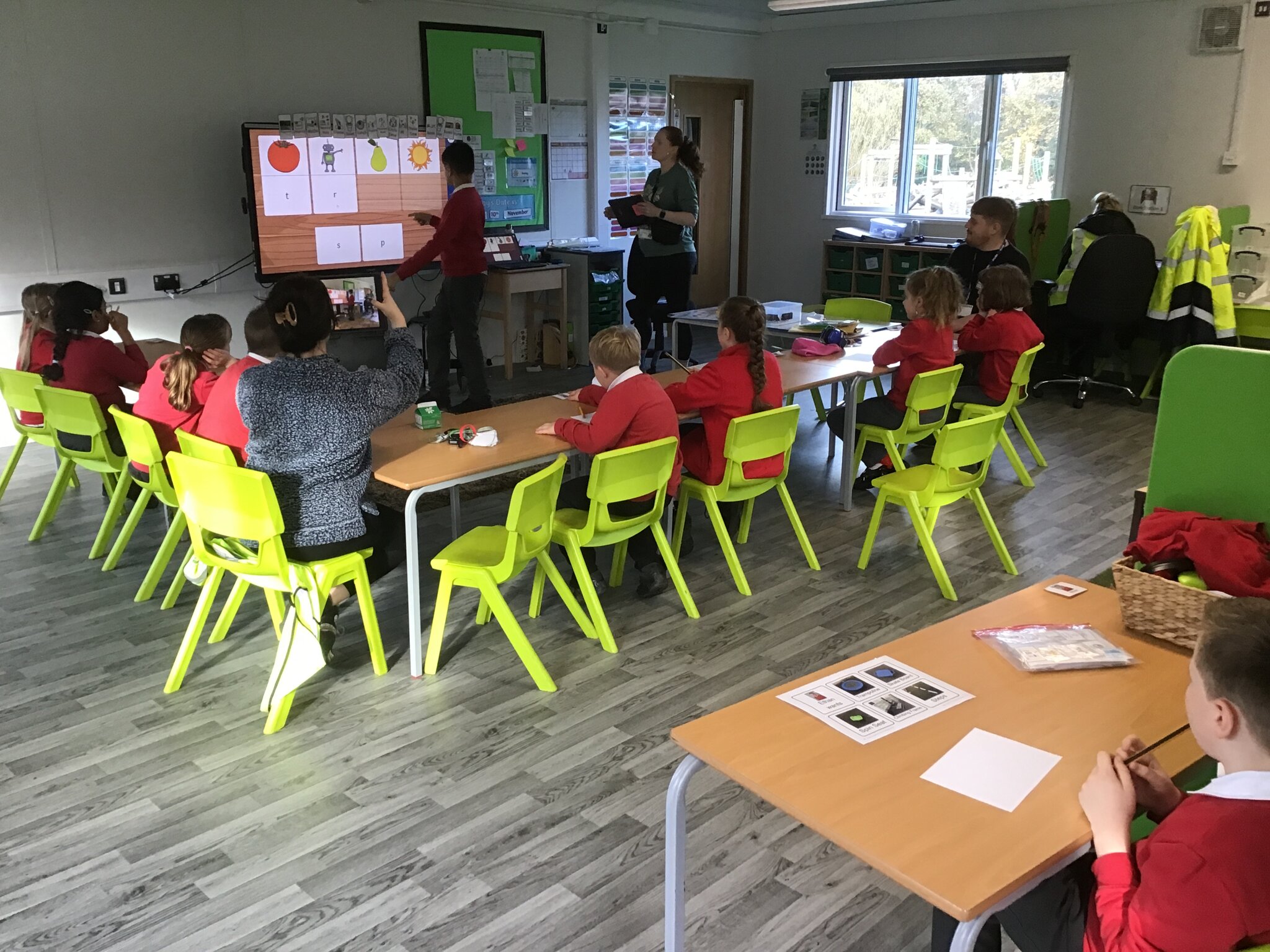 Image of Willow Week 10