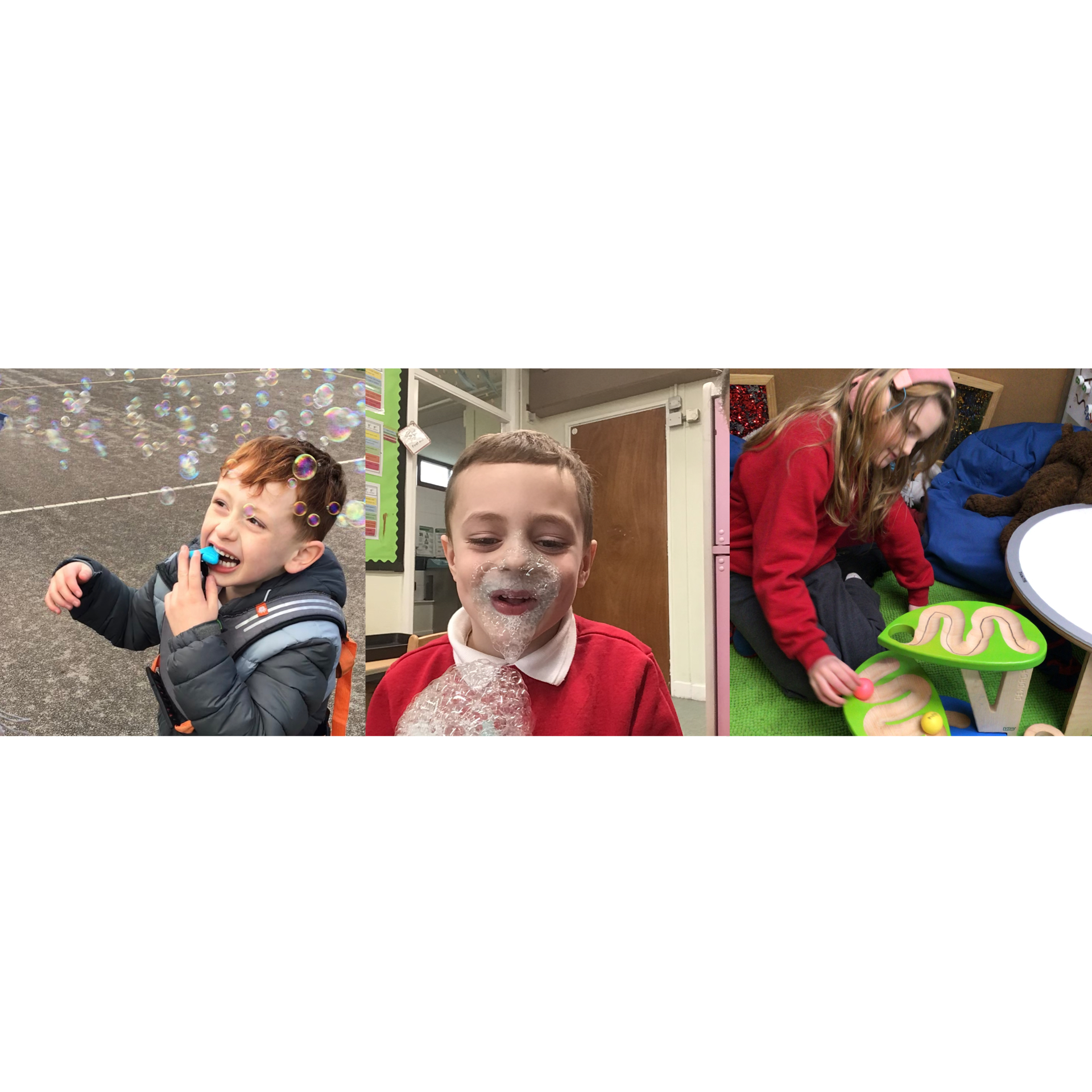 Image of My world in Beech 