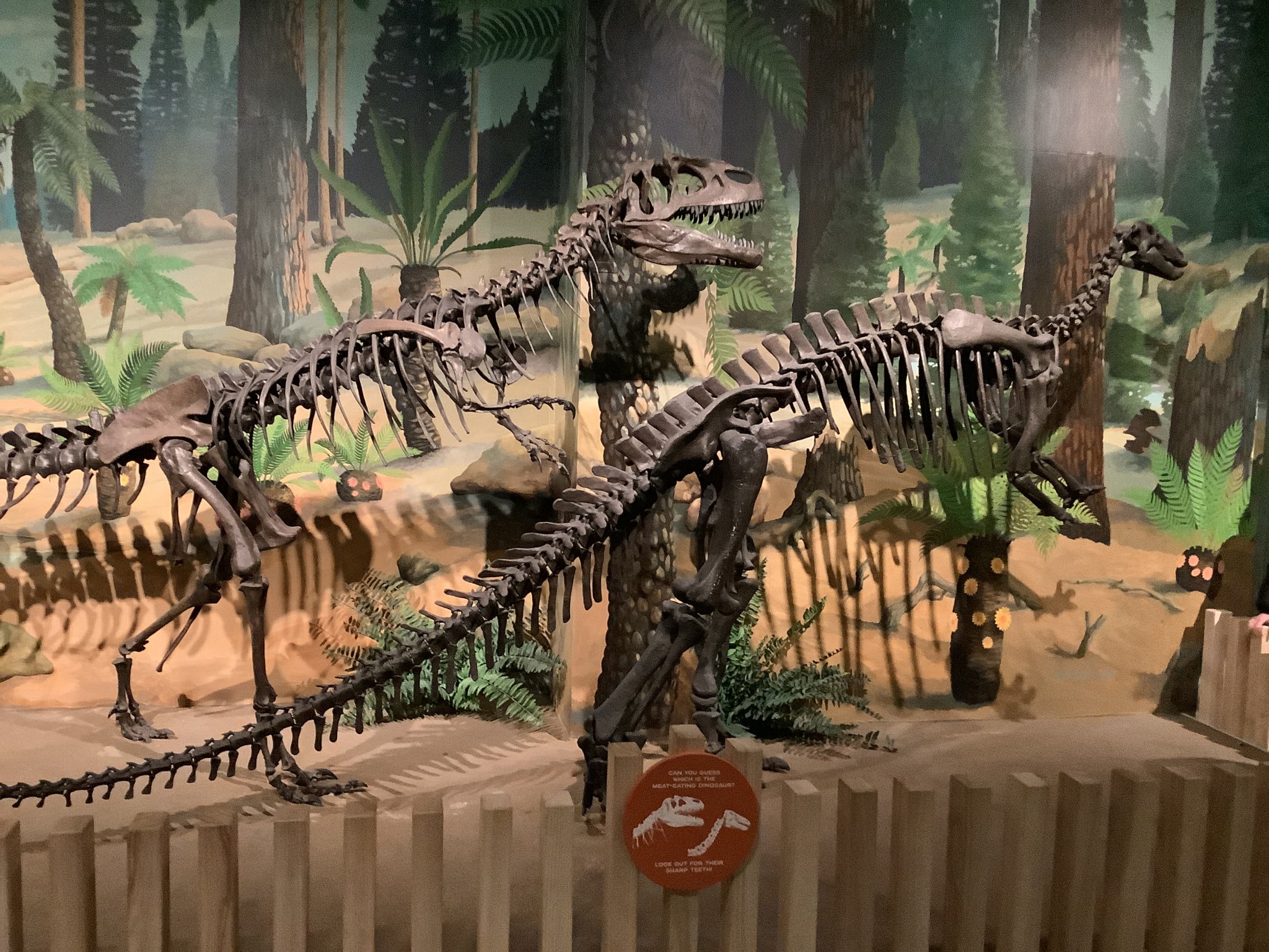 Image of 7A Liverpool Museum 
