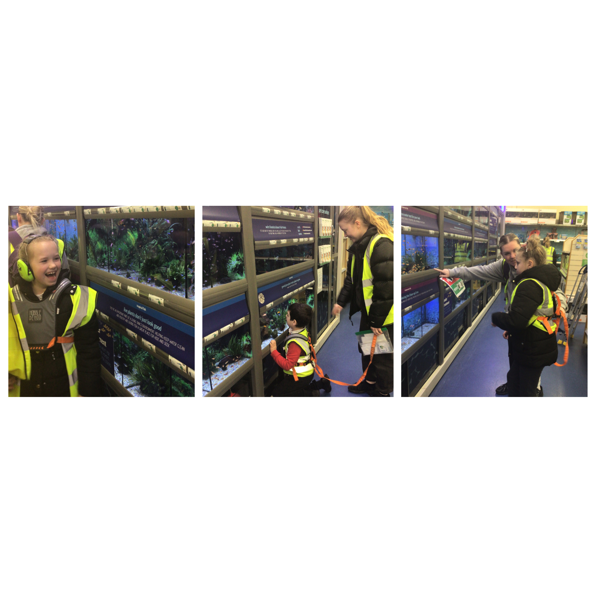 Image of Chestnut class visit the pet shop! 2025-2026