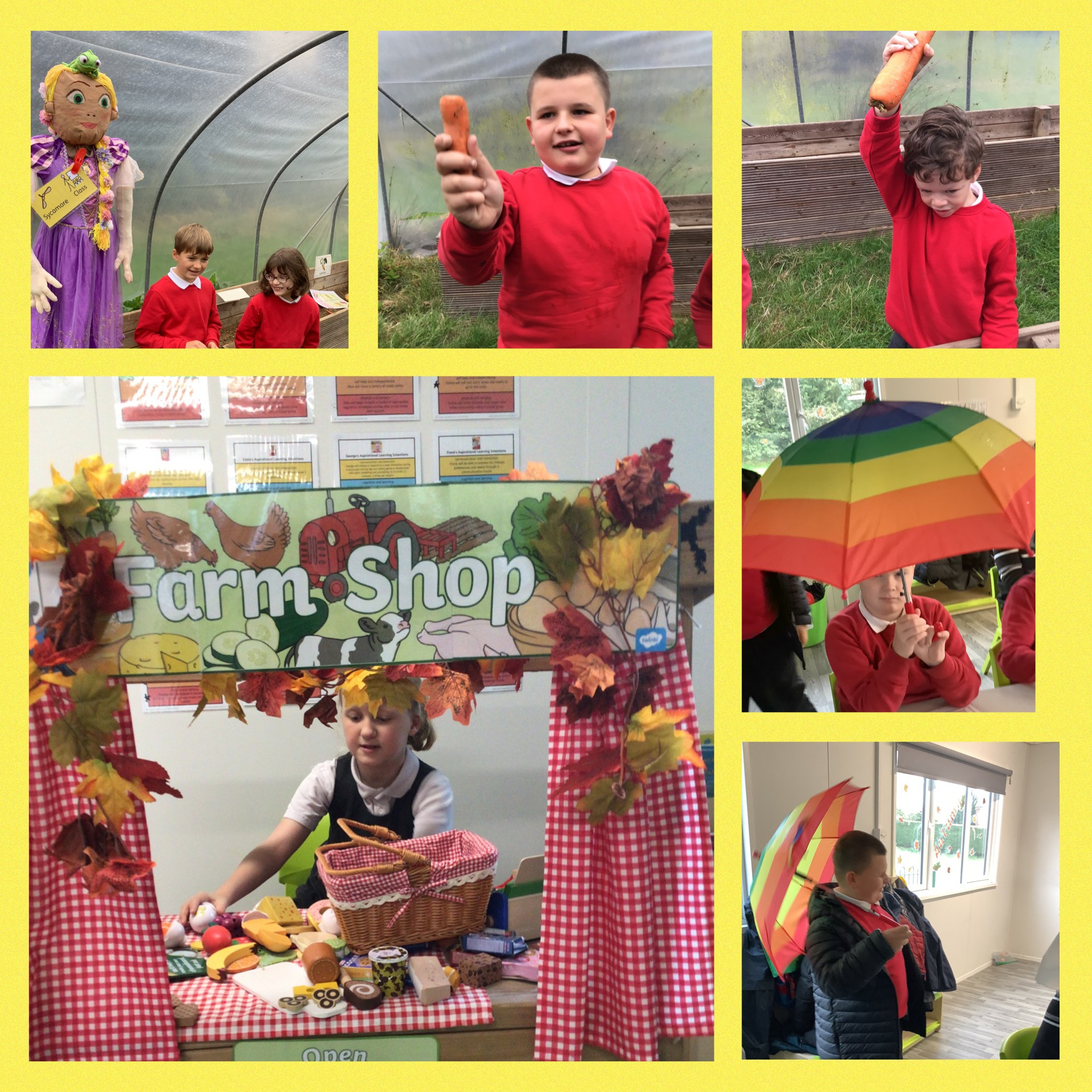 Image of Harvest in Sycamore Class