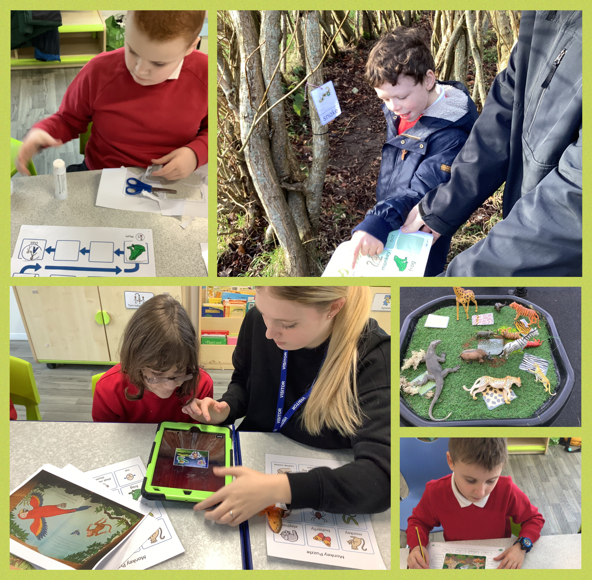 Image of Sycamore Class explore the Monkey Puzzle story