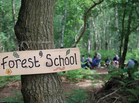 Image of We Need Your Help- Forest School 