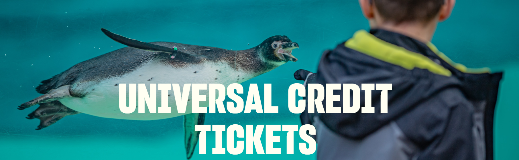 Image of Chester Zoo- Universal Credit Tickets