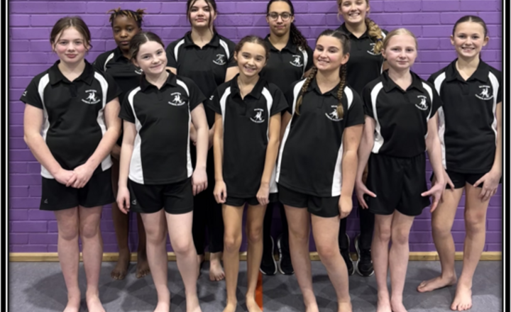 Image of South Ribble School's Floor and Vault Championships