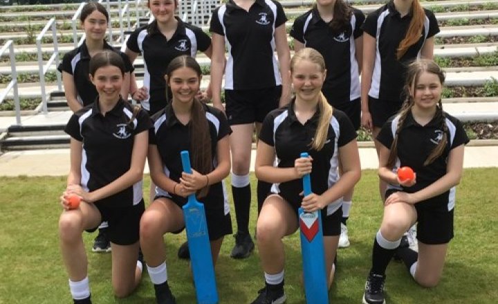 Image of Year 8 Girls South Ribble Softball Cricket Tournament