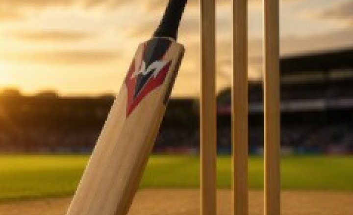 Image of Year 7 Cricket Team First Hardball Game!