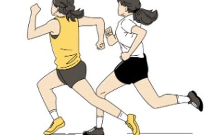 Image of Cross Country Success