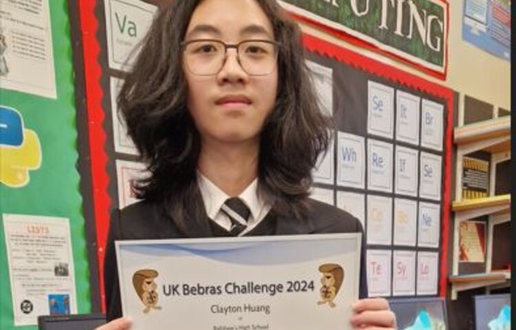 Image of The UK Bebras Challenge