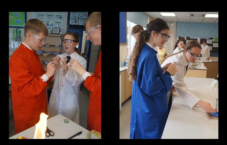 Image of Year 10 Science - Microbiology