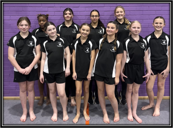 Image of South Ribble School's Floor and Vault Championships