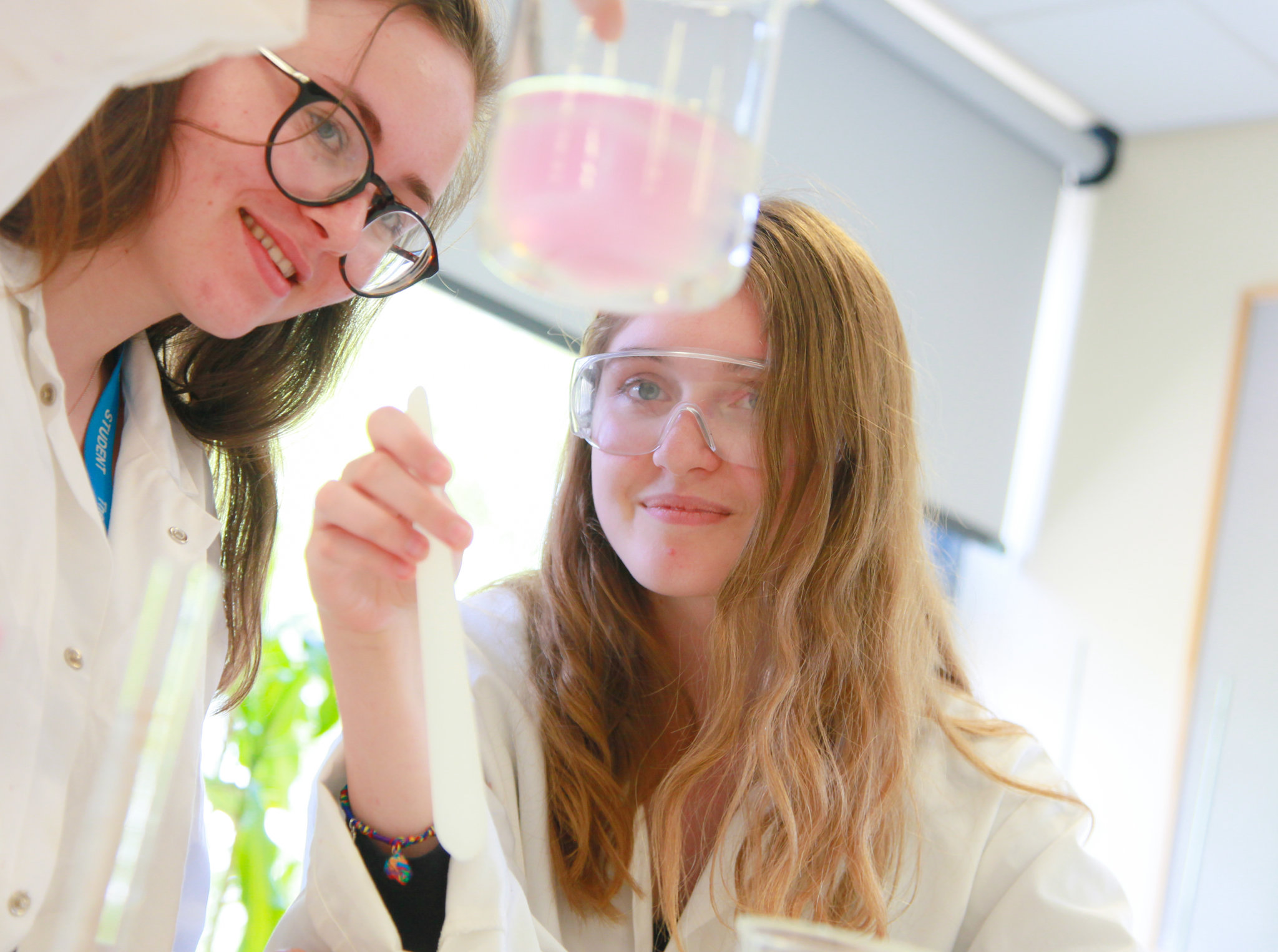 Image of COLLEGE: Subject Taster Sessions for Year 11 Students