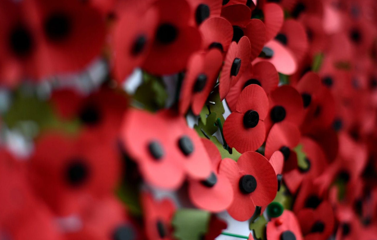 Image of SCHOOL: Remembrance Day Service