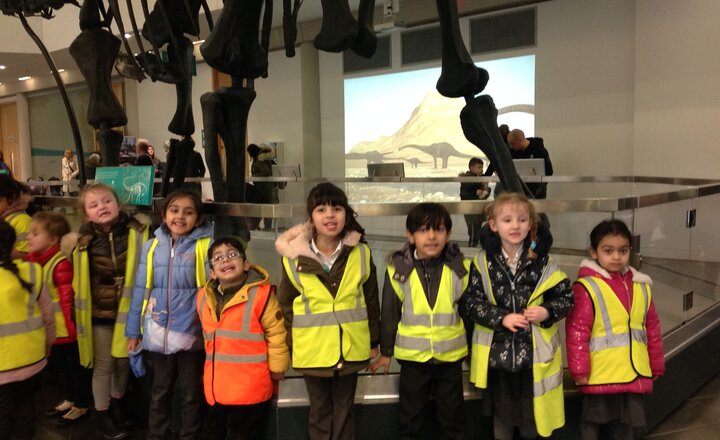 Image of Reception visit Dippy the Dinosaur