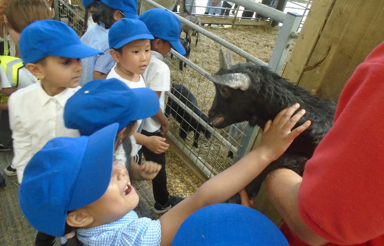 Image of News Report - Reception's Trip to the Farm