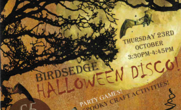 Image of Friends of Birdsedge Spooky Disco October 2025