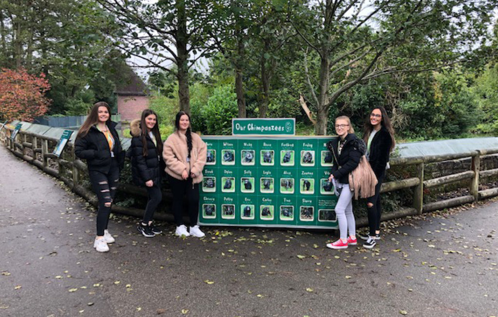 Image of Psychology students bring learning to life at Chester Zoo
