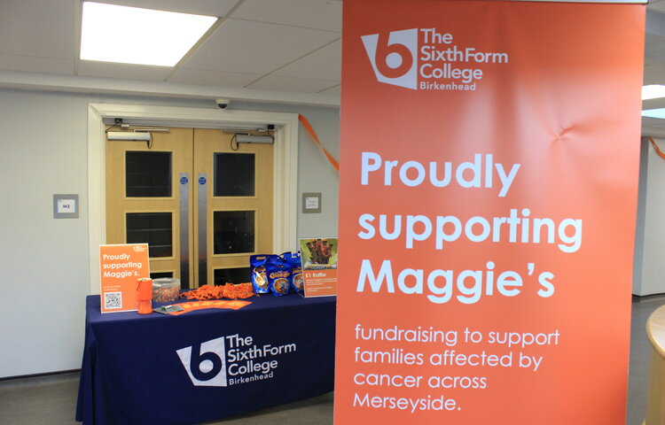 Image of Go Outrageously Orange for Maggie's