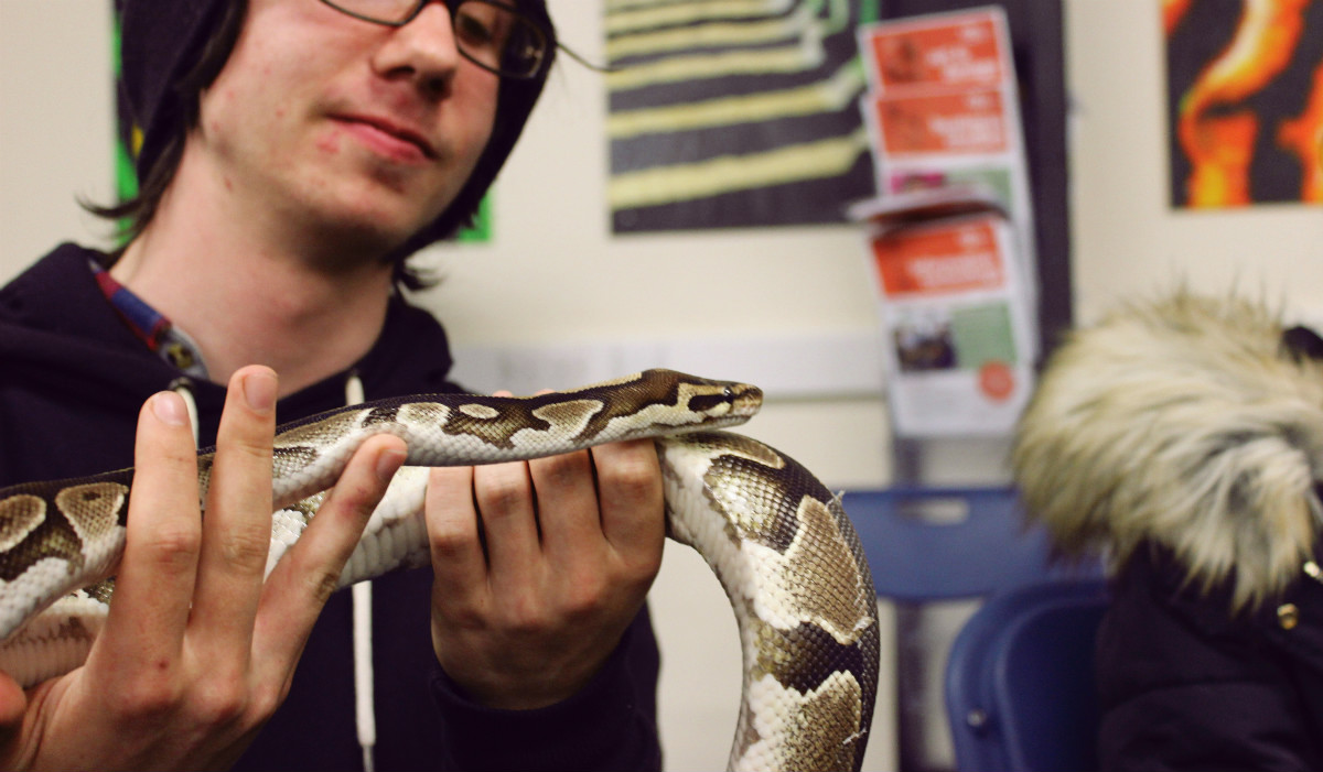 Image of VIDEO: Psychology's Creepy Crawly Day