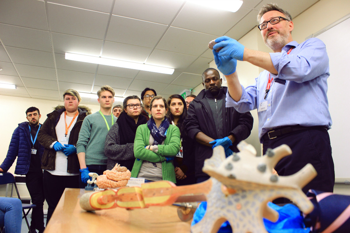 Image of Dr Guy Sutton's Brain Day gets students' synapses working 