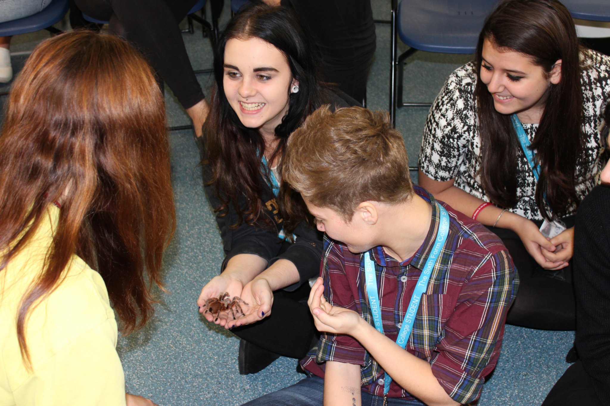 Image of Psychology students faced their fears when The Creepy Crawly Show came to College